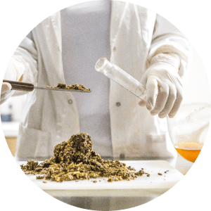 Maść na hemoroidy zewnętrzne jak działają